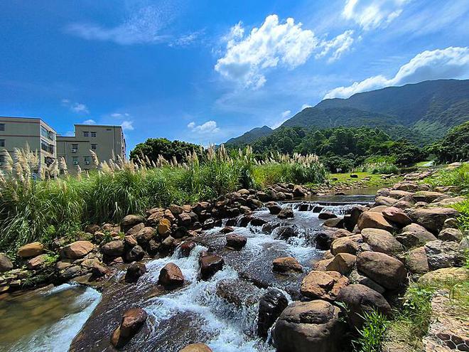 老人跟团游遭遇陷阱：200元游遍大海与“海景房”的惊天之谜